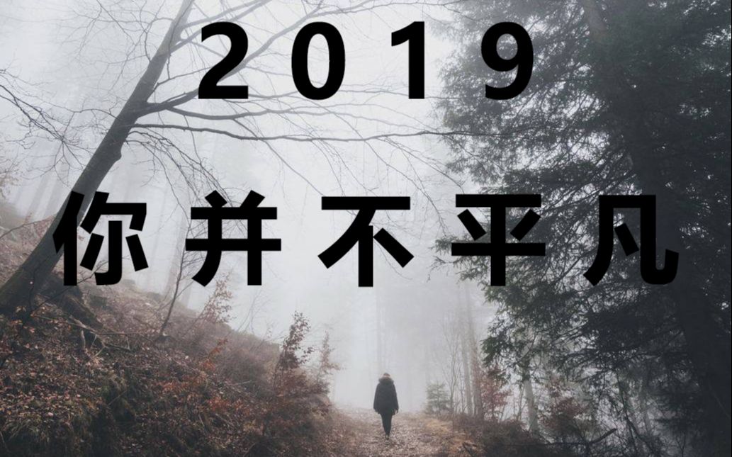 [图]【2019年度巡礼/年度混剪】2019，你并不平凡