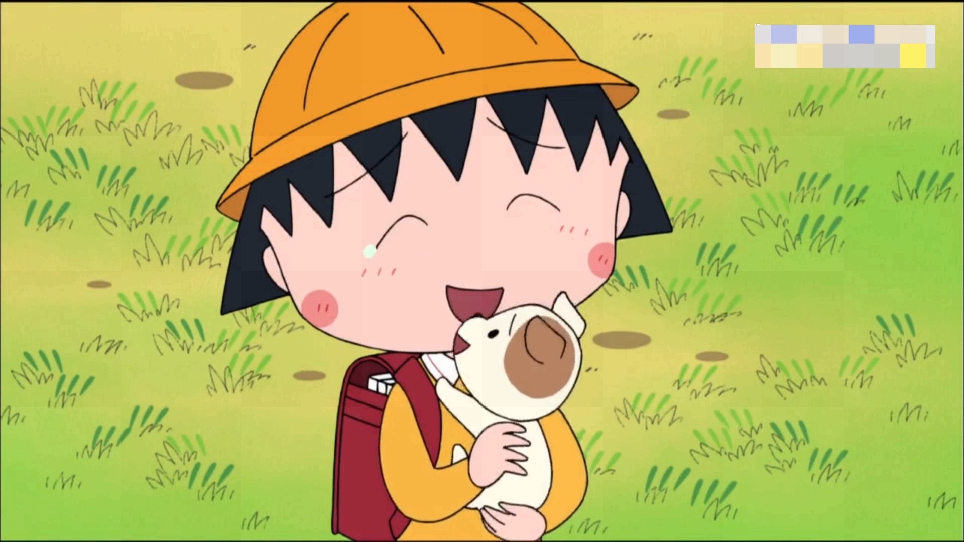 为收养空仔小丸子好努力啊,日本美食攻略