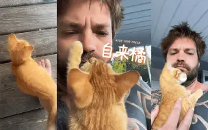 Download Video: 人在家中坐，橘从家门来 🐈