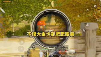 大金模式不摸金，也能百万撤离