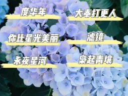 Download Video: 【电视剧预告reaction 】各种类型都有。全面开花！