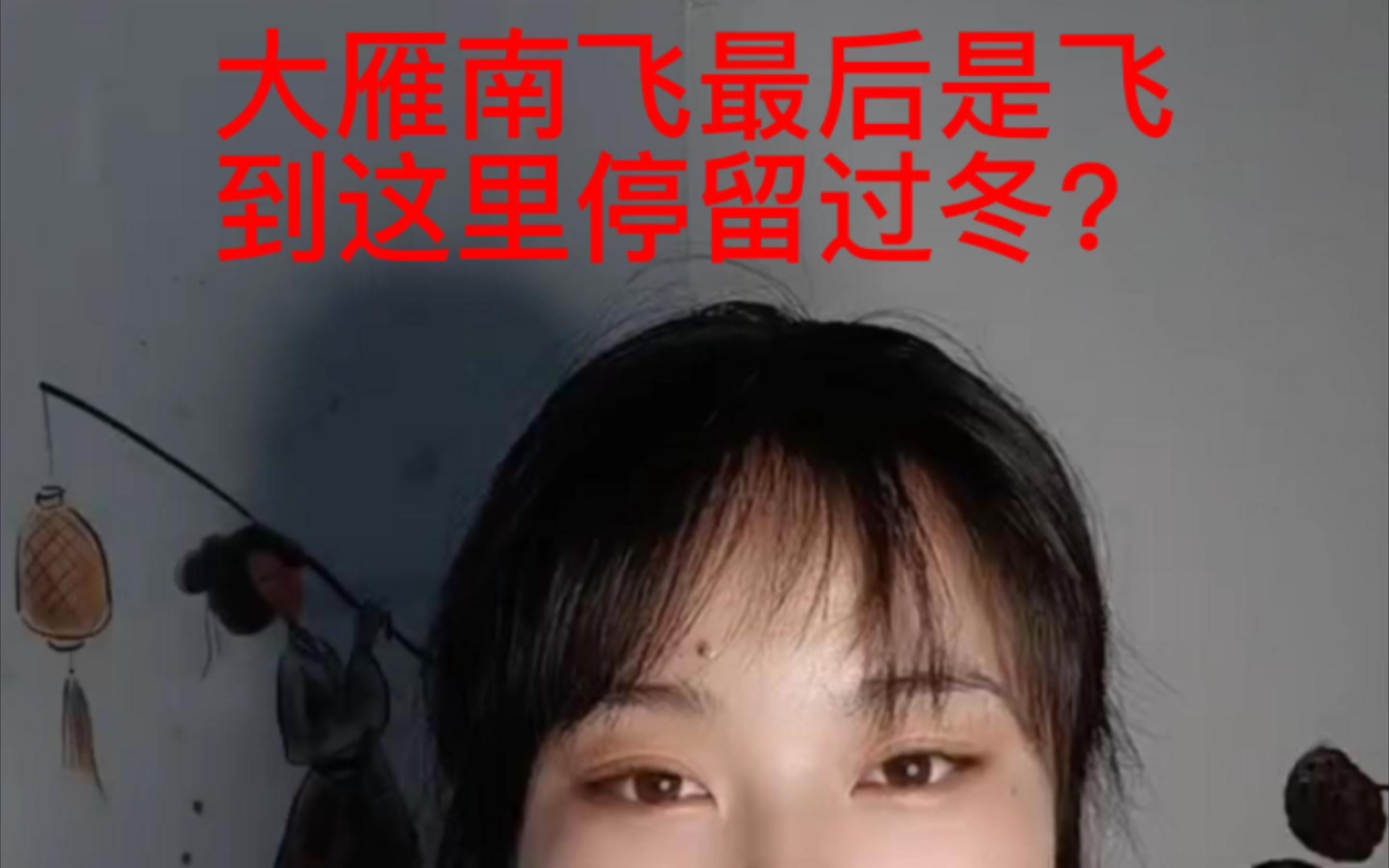 [图]大雁南飞最后飞到了哪里？