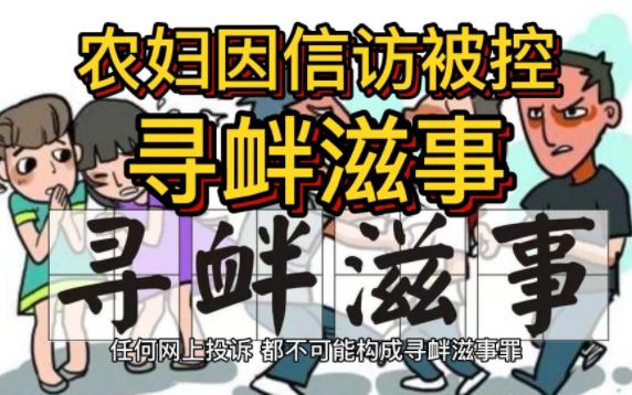 山东一农妇因信访被控寻衅滋事,七次在国家信访局网上投诉哔哩哔哩bilibili