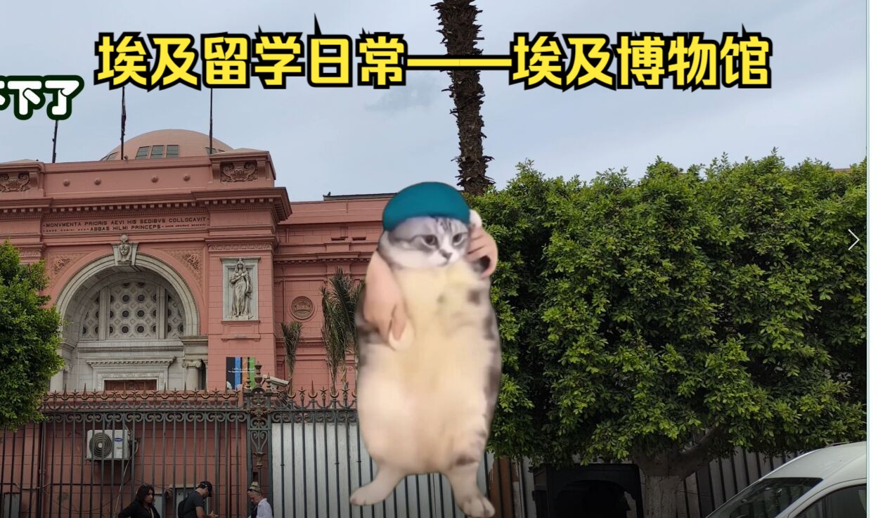 [图]（猫猫meme）在埃及留学的日常【3：埃及博物馆】