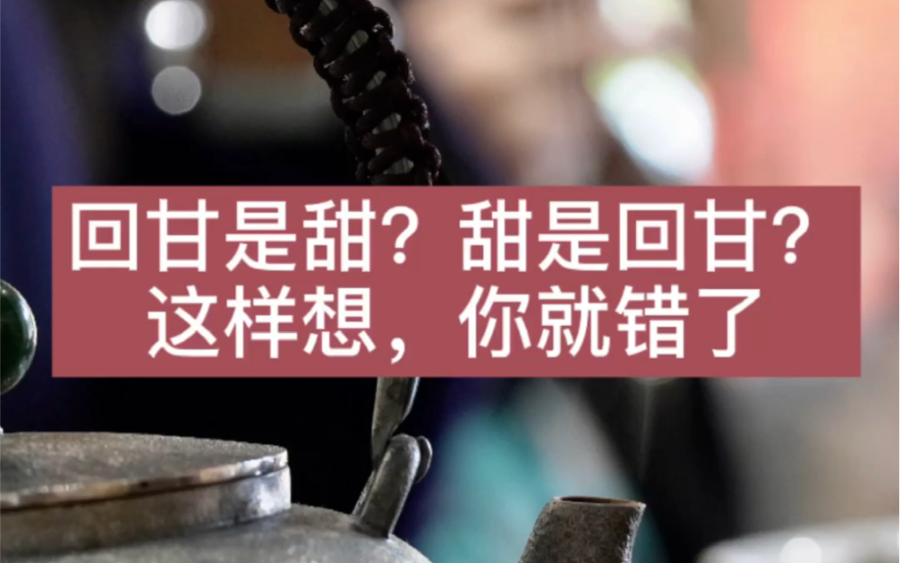 回甘是什么?甜感是什么?#个人成长#普洱茶#茶#品鉴哔哩哔哩bilibili