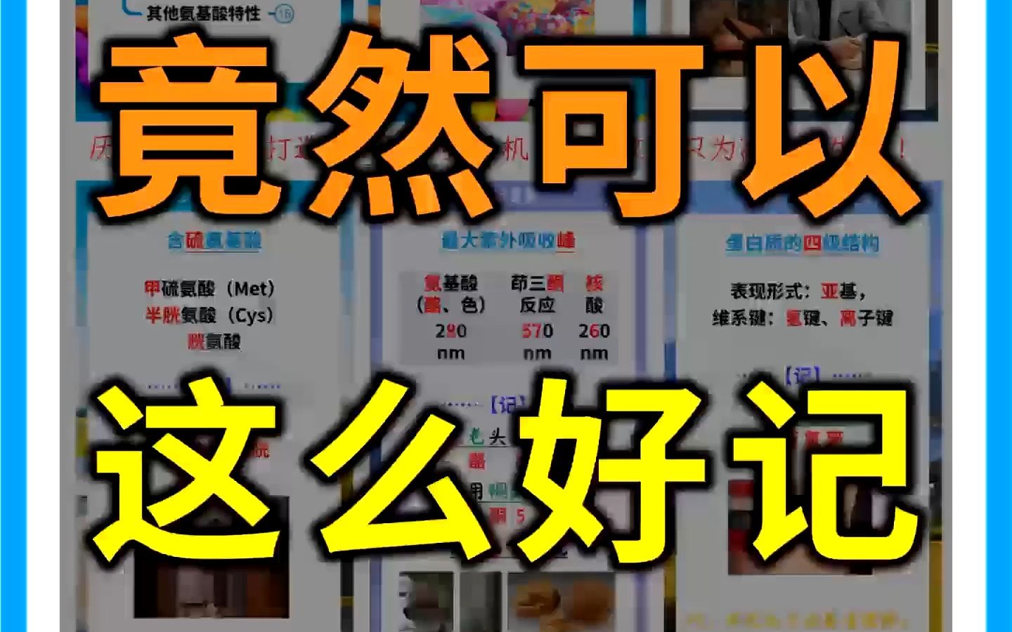 生物化学【轻松记】重点笔记+知识点总结YSAr1哔哩哔哩bilibili