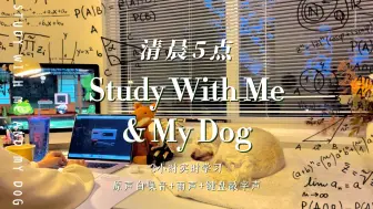 清晨5点学习📚 | 陪伴学习3小时 | 🎧原声白噪音+雨声 | 计时器倒计时间 | 清晨学习·从黑夜到天亮·狗狗伴学