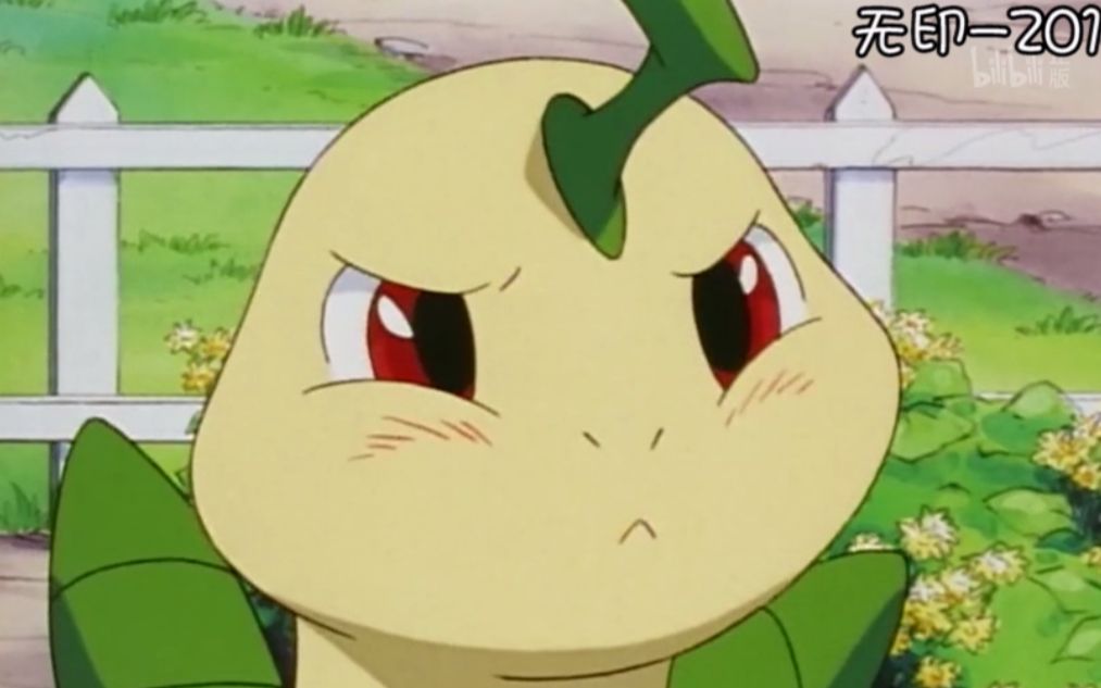 神奇宝贝菊草叶进化就失宠反正不可爱了qwq