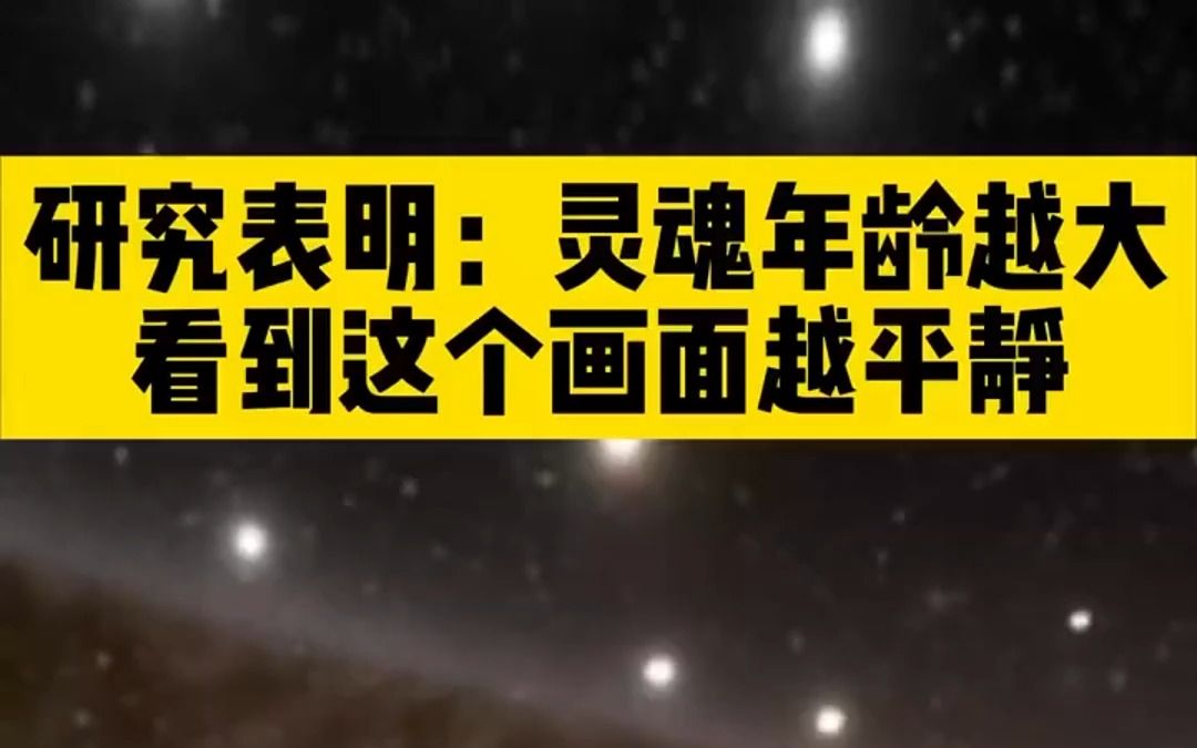 根据研究表明哔哩哔哩bilibili我的世界