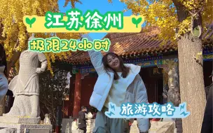 Descargar video: 江苏徐州可太适合穷游了！24小时极限逛吃攻略