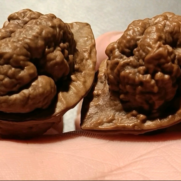 期間限定キャンペーン 文玩核桃30mm，九层妖塔，超肥八腿全蹬，蟾型漂亮，有开背，骨质 その他