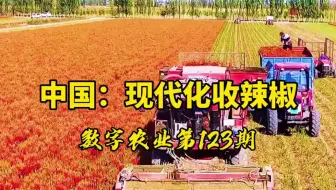 全球都在吃美国产的粮食 看到机械化无农药除草机 确实令人佩服 哔哩哔哩 Bilibili