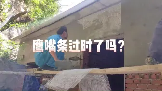 下载视频: 鹰嘴条过时了吗？