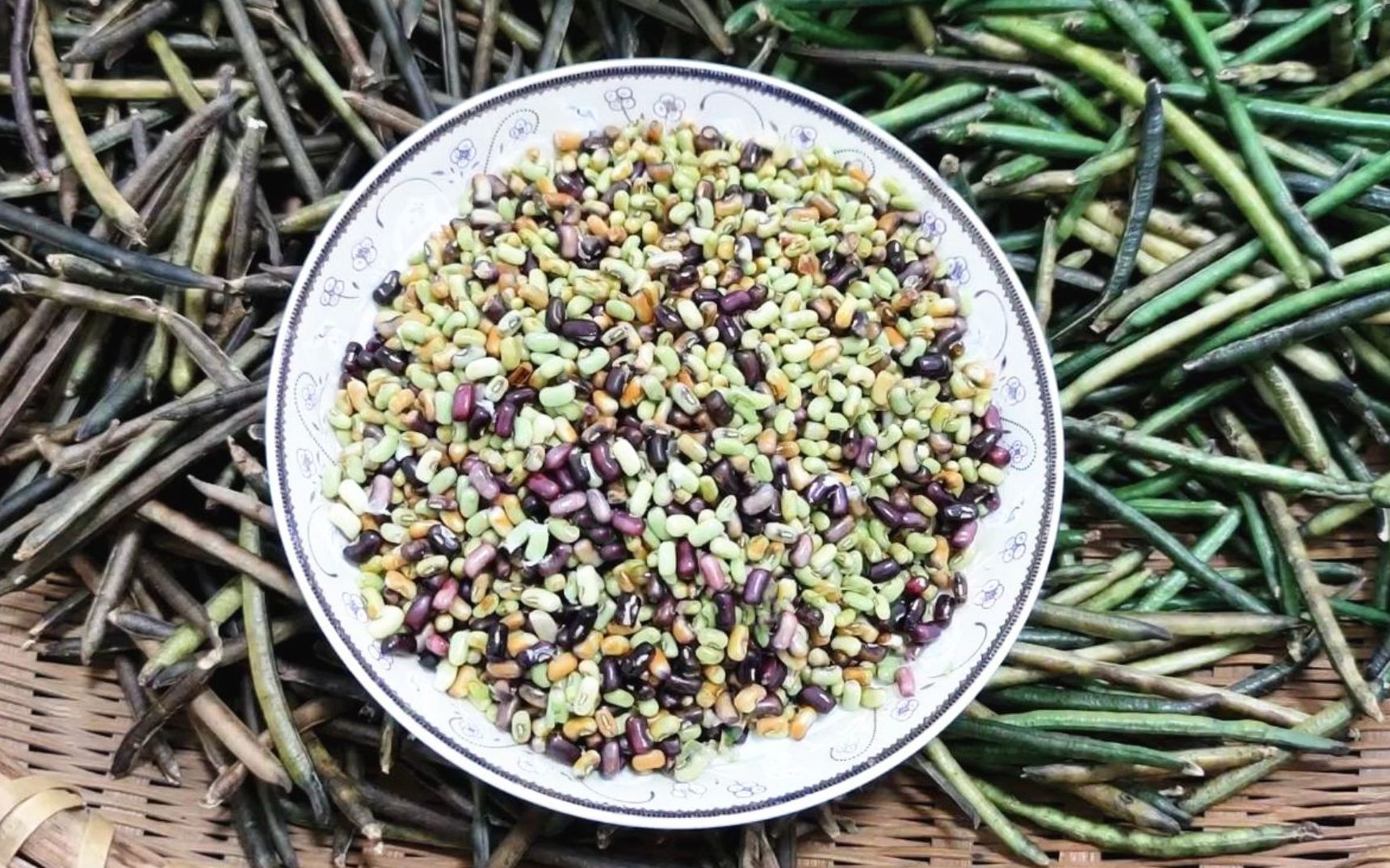 分享2种野绿豆的制作方法,比煲汤更美味,香香粉粉超好吃