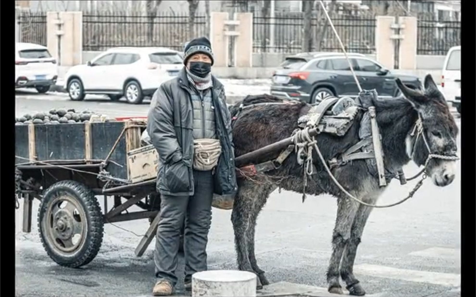 [图]大哥不知道，我偷偷喂了他的驴一颗糖~