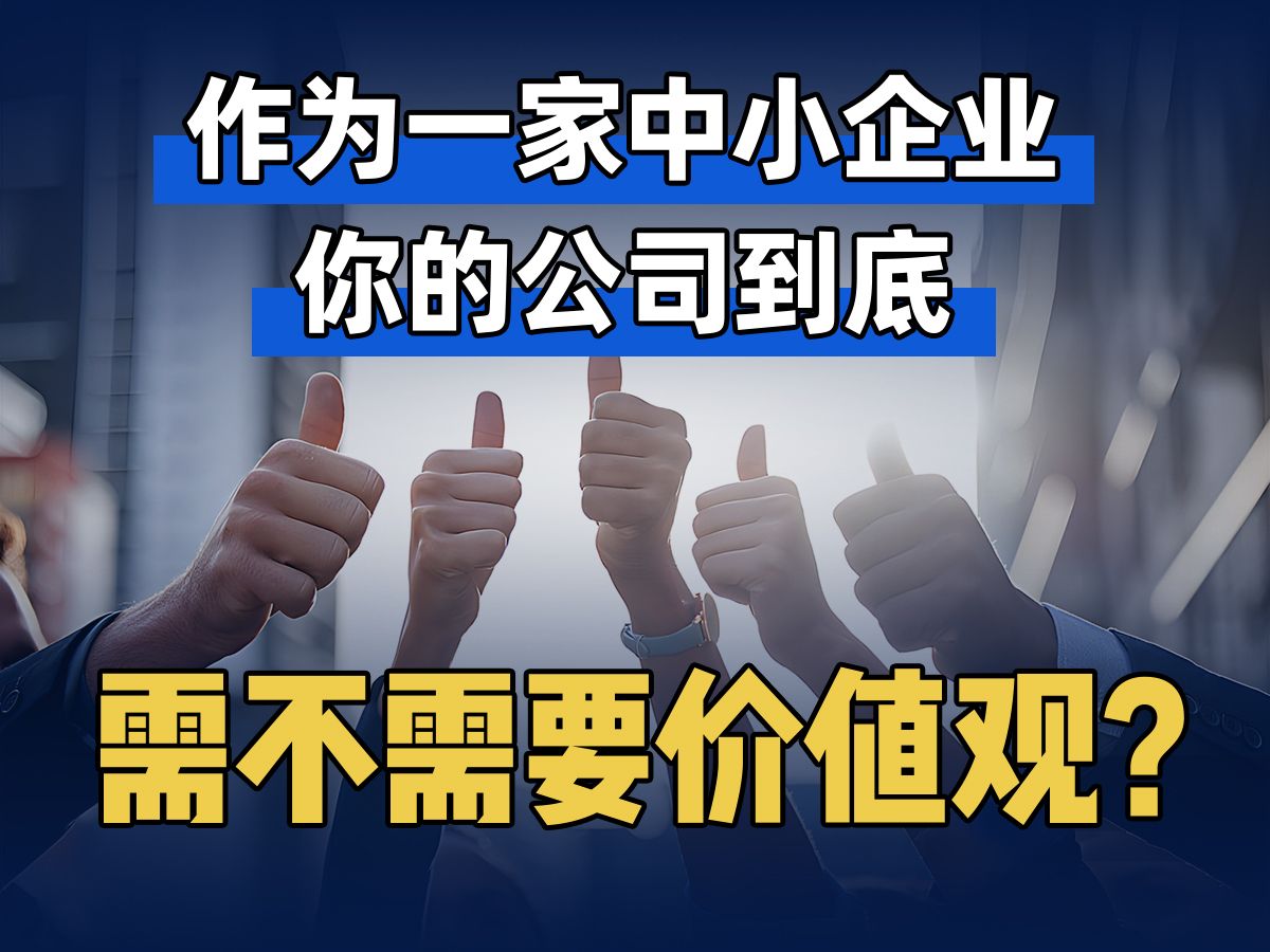 作为一家中小企业,你的公司到底需不需要价值观?哔哩哔哩bilibili