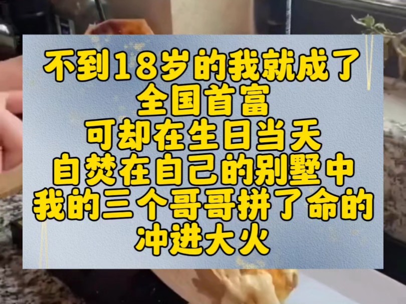 不到18岁的我就成了全国首富可却在生日当天自焚在自己的别墅中我的三个哥哥拼了命的冲进大火哔哩哔哩bilibili