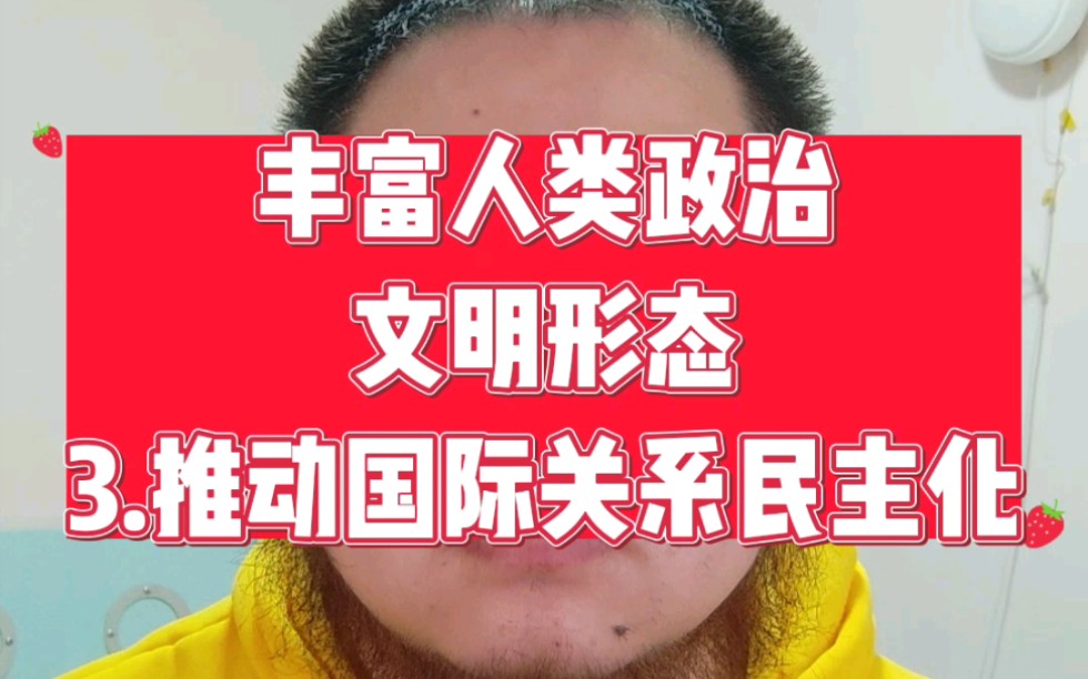 《中国的民主》五,丰富人类政治文明形态 3,推动国际关系民主化 #中国的民主哔哩哔哩bilibili