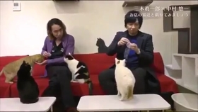 三木眞一郎のおもてなしドライブvol 6 猫好き中村悠一さんと猫カフェでトーク 哔哩哔哩 つロ干杯 Bilibili