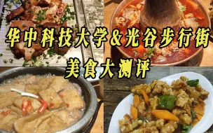 Download Video: 【武汉美食第十八篇】华中科技大学&光谷步行街美食大测评！黑龙江饺子馆（鲁磨路店）/绿茶餐厅/川菜故事