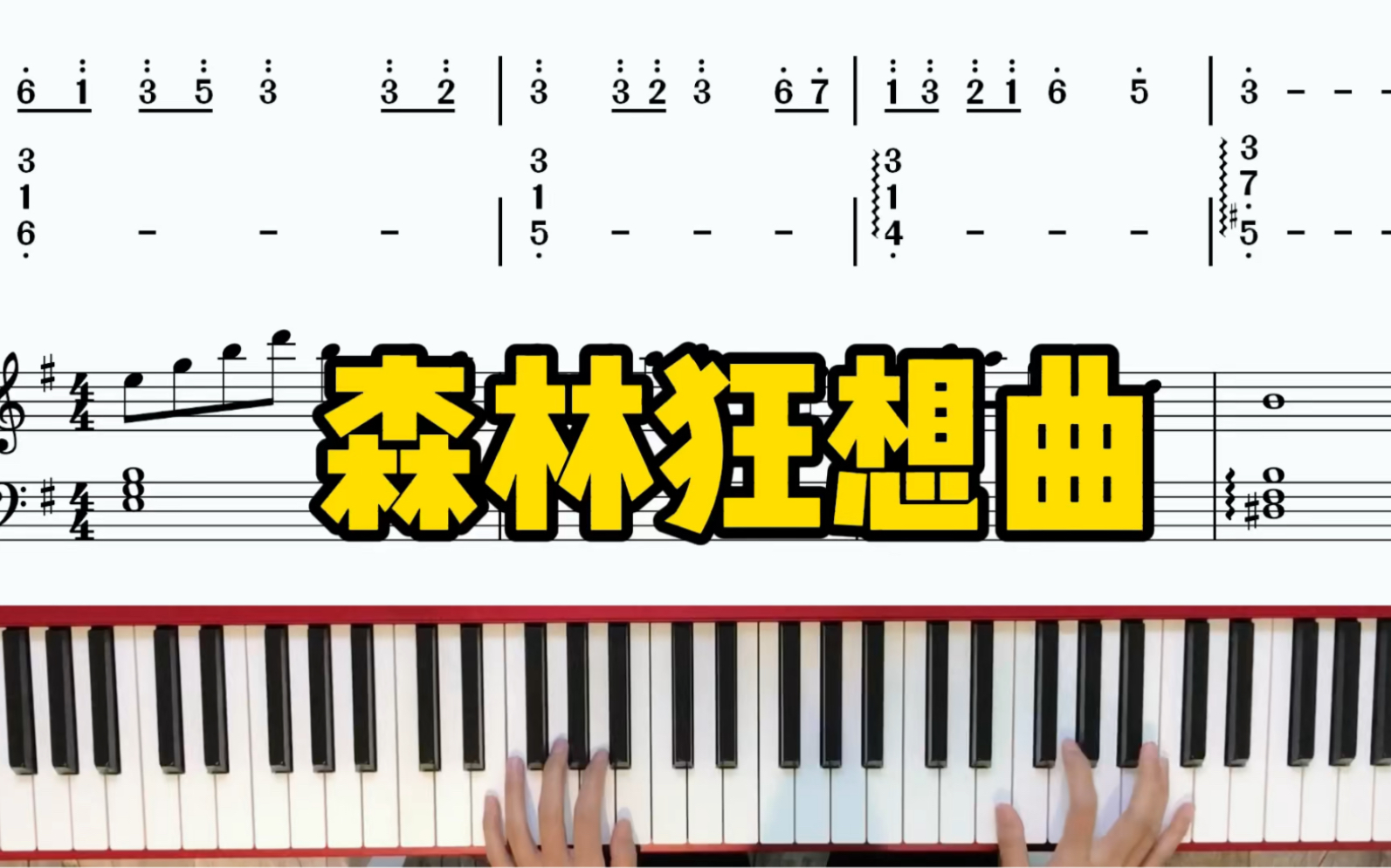 鋼琴演奏《森林狂想曲》