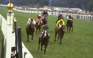 英皇锦标 搜索结果 哔哩哔哩 Bilibili