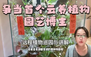 Download Video: 「山乌龟」我不在家的这几个月，你们过得怎么样？苏州的室内植物