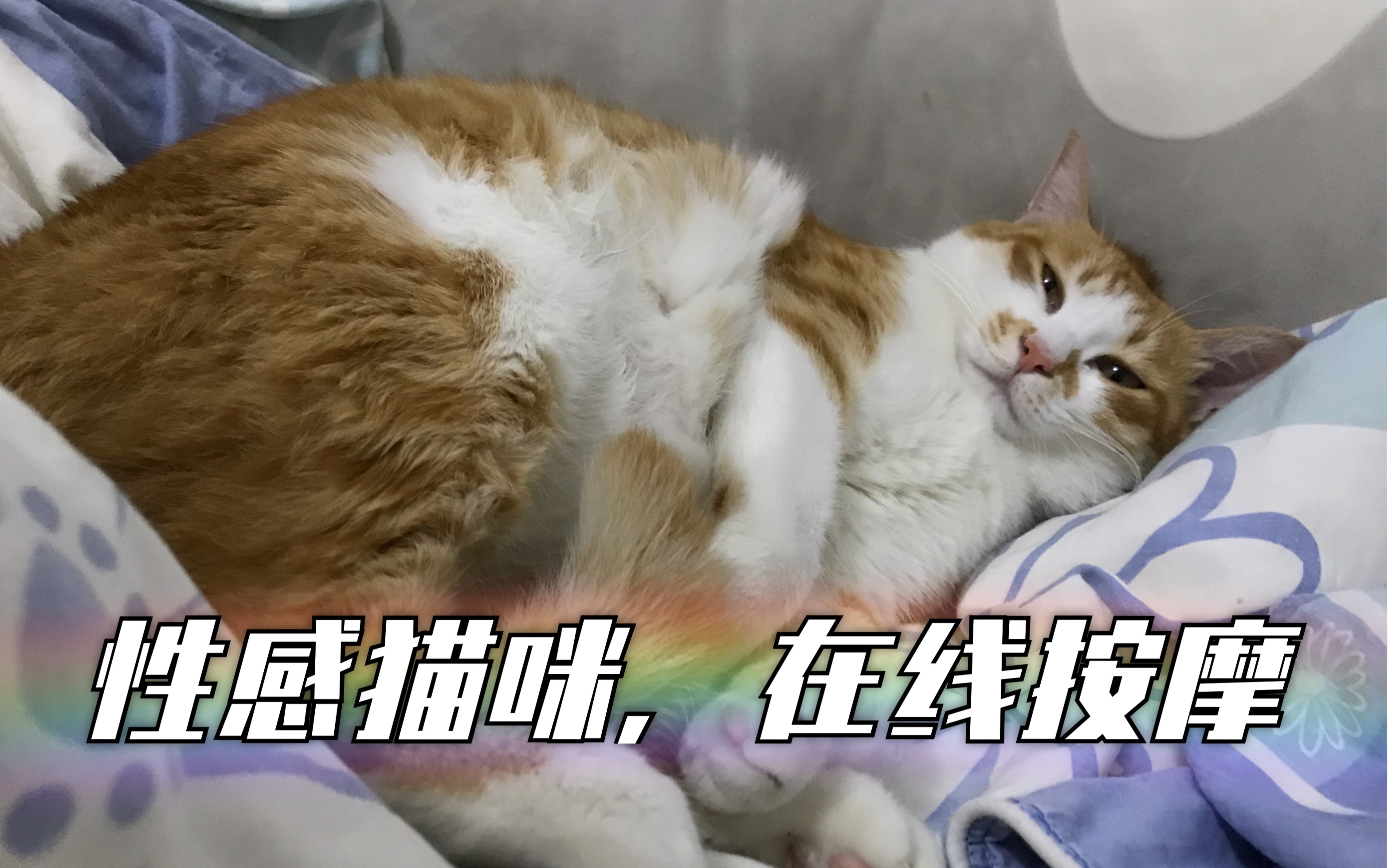 性感蜜桃臀少女喵在线按摩