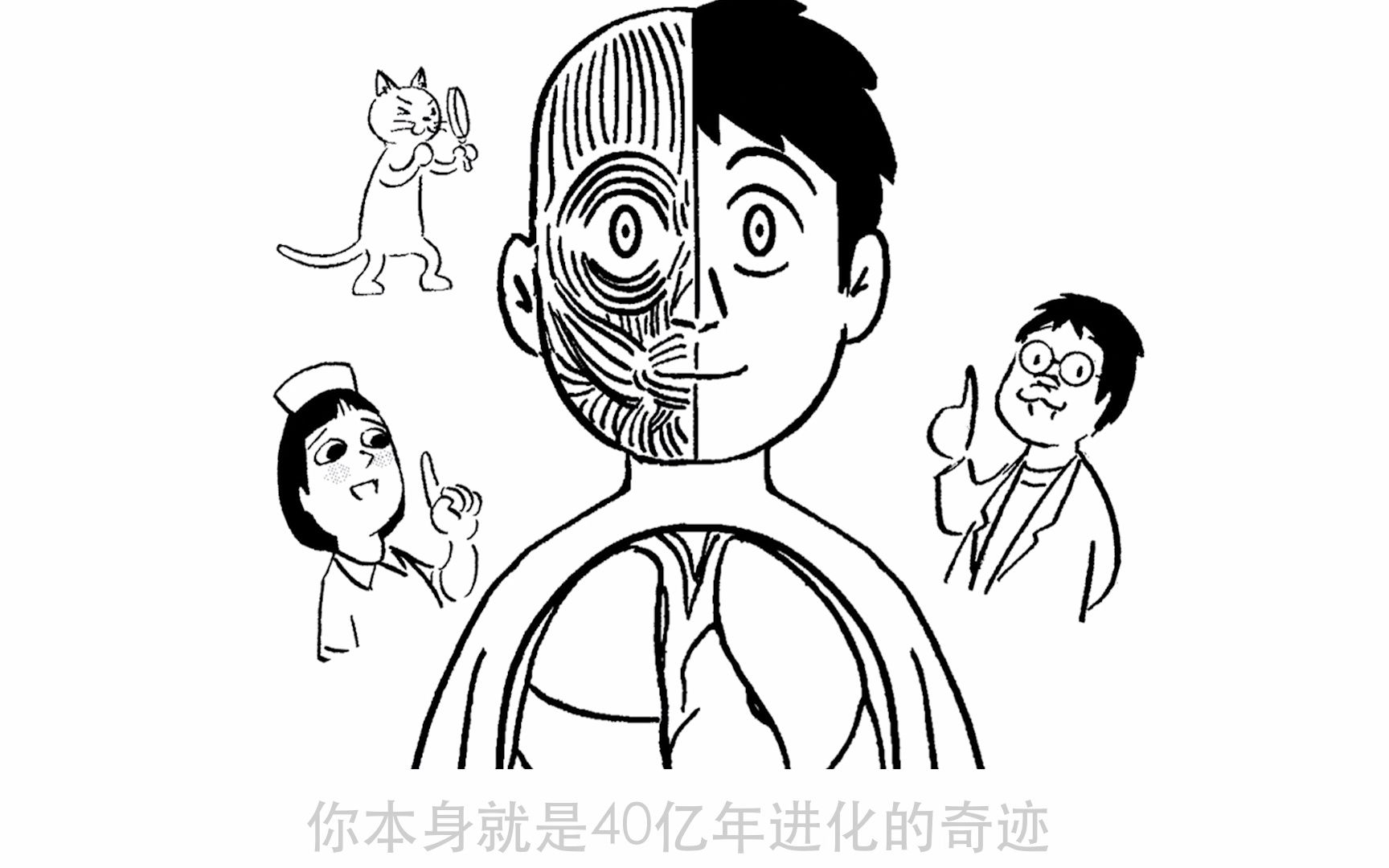 [图]临床医生手绘搞笑漫画 轻松入门人体解剖生理 你本身就是40亿年进化的奇迹