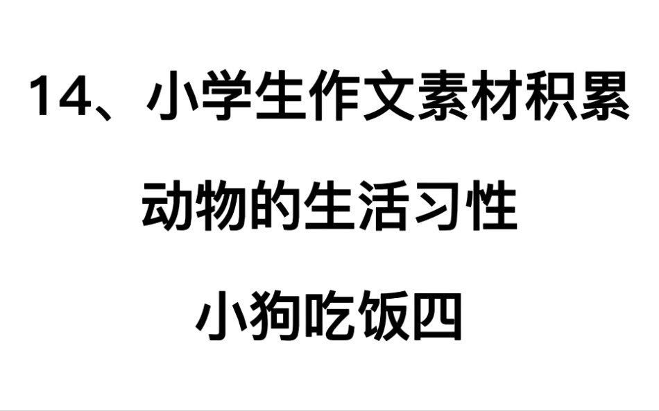 14.小学生作文素材积累,动物的生活习性——小狗吃饭四哔哩哔哩bilibili