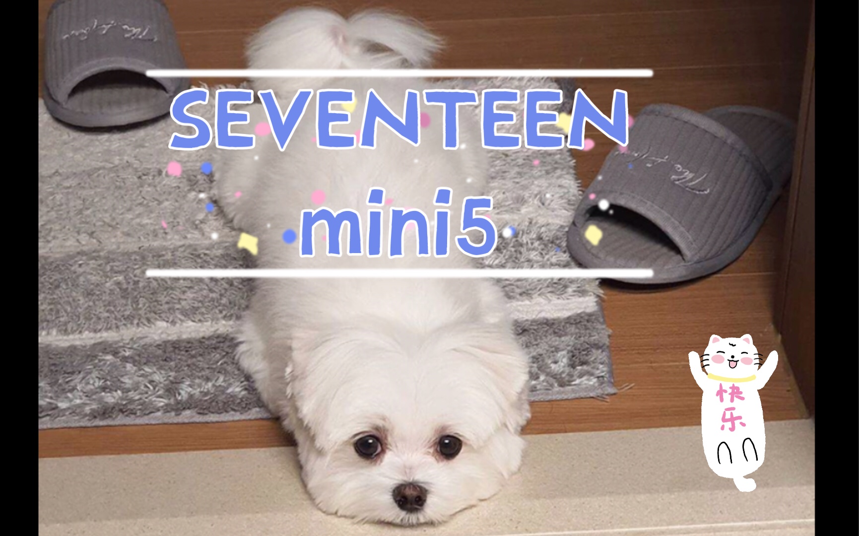 【seventeen】mini5拆专