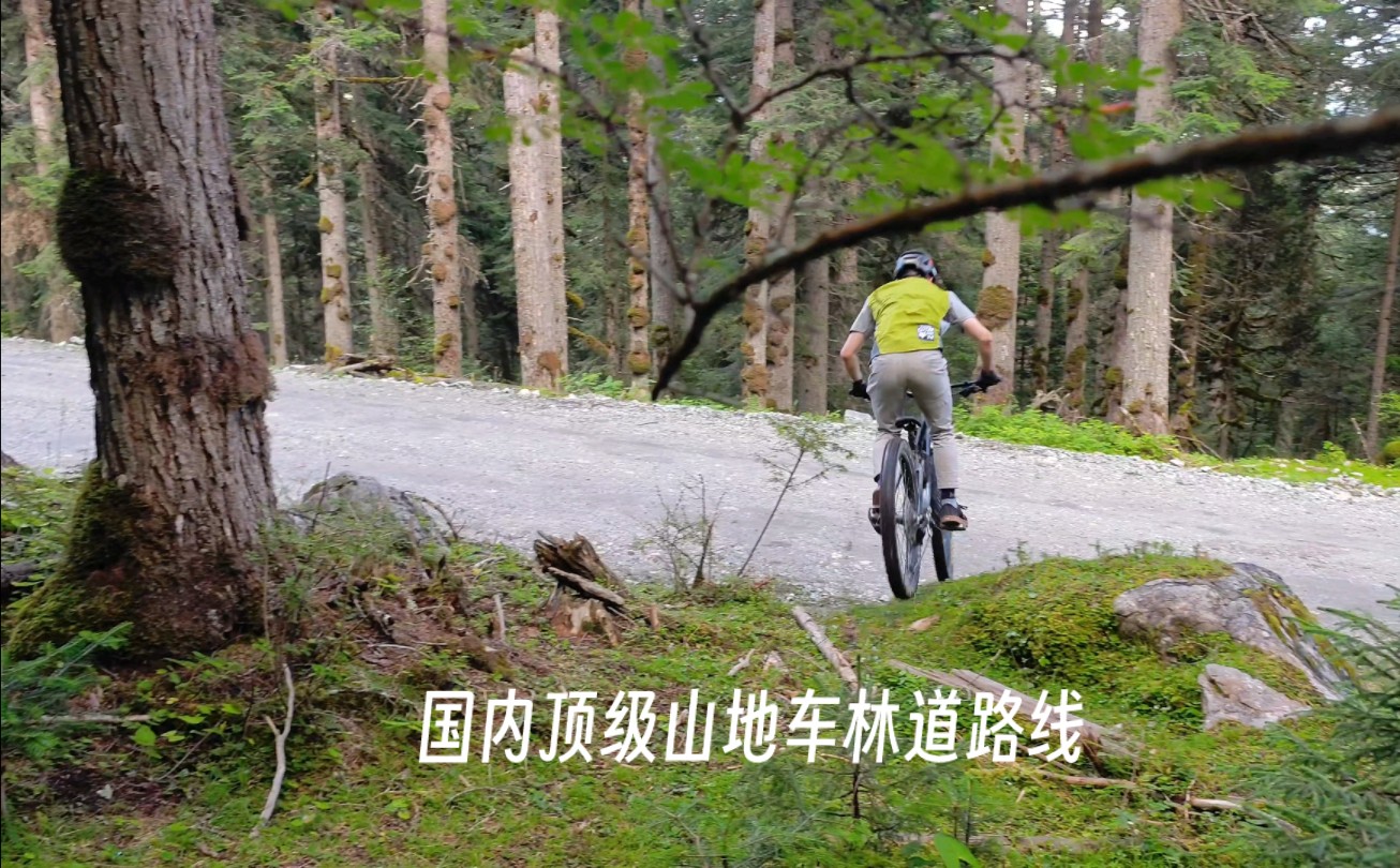 【4K RAW】国内顶级山地车林道路线措美峰哔哩哔哩bilibili