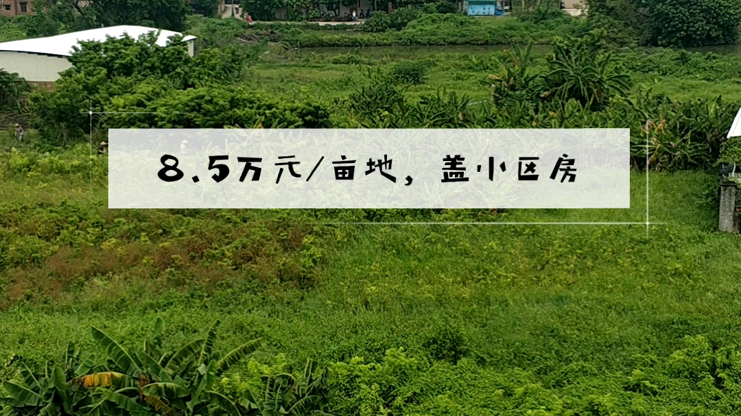 白菜价,茂名8.5万元/亩地,位于茂名市茂南区新兴交通要道哔哩哔哩bilibili