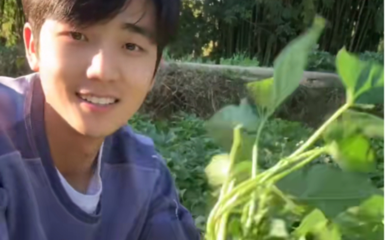 快手版李子柒帅哥农村田园吃播