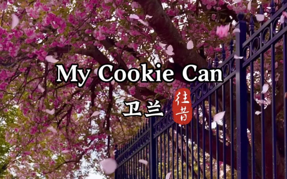 《My Cookie Can 》卫兰 香港甜歌巅峰之作!粤语金曲哔哩哔哩bilibili