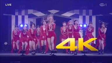 4K 早安少女組 14 コンサートツアー春 エヴォリューション Morning