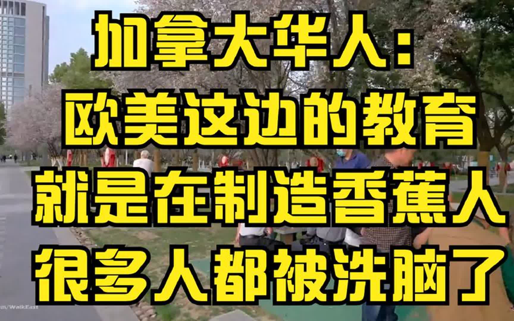 加拿大华人:欧美这边的教育就是在制造香蕉人,很多人都被洗脑了哔哩哔哩bilibili