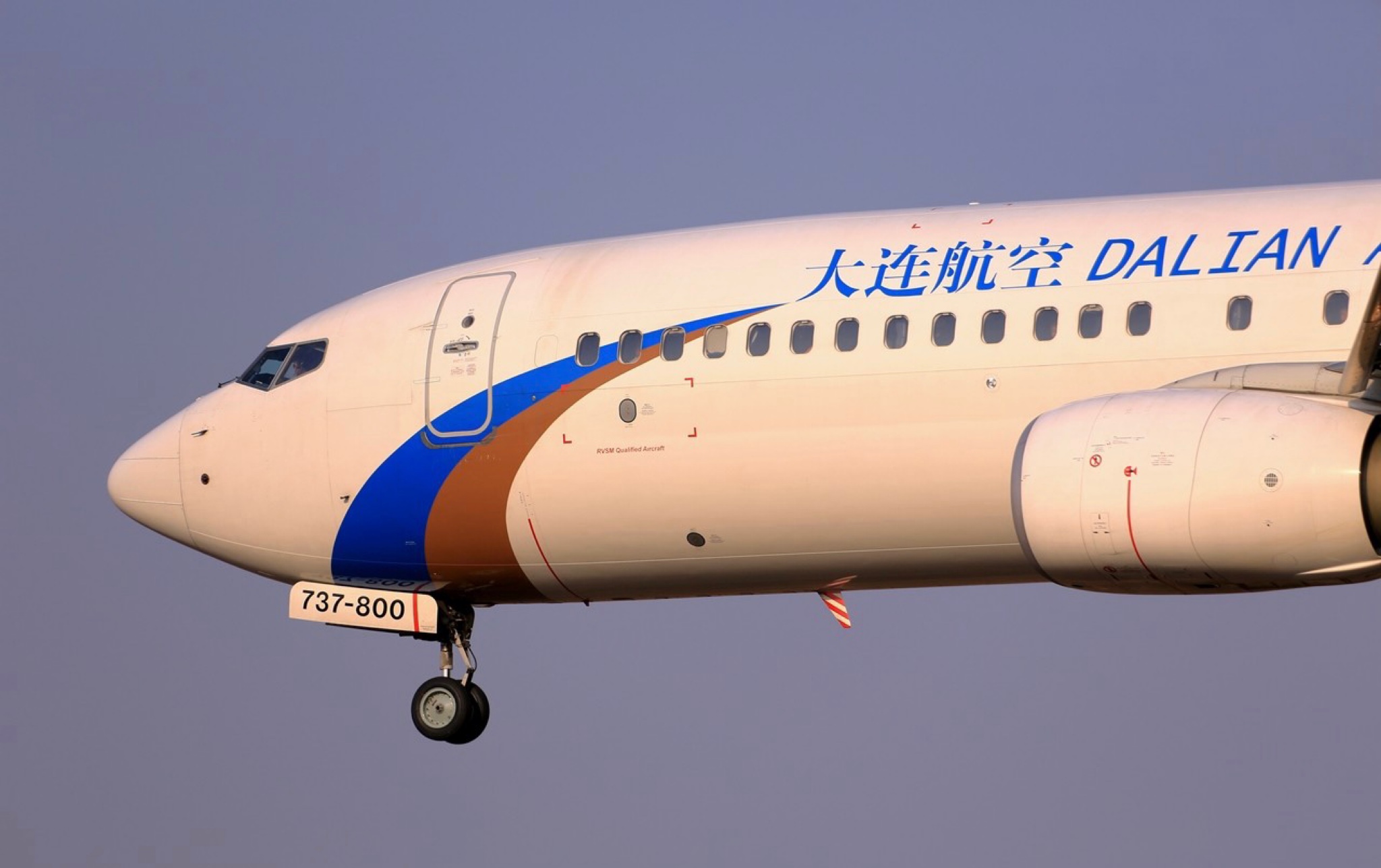 大连航空b737(b-6105)标准涂装手绘