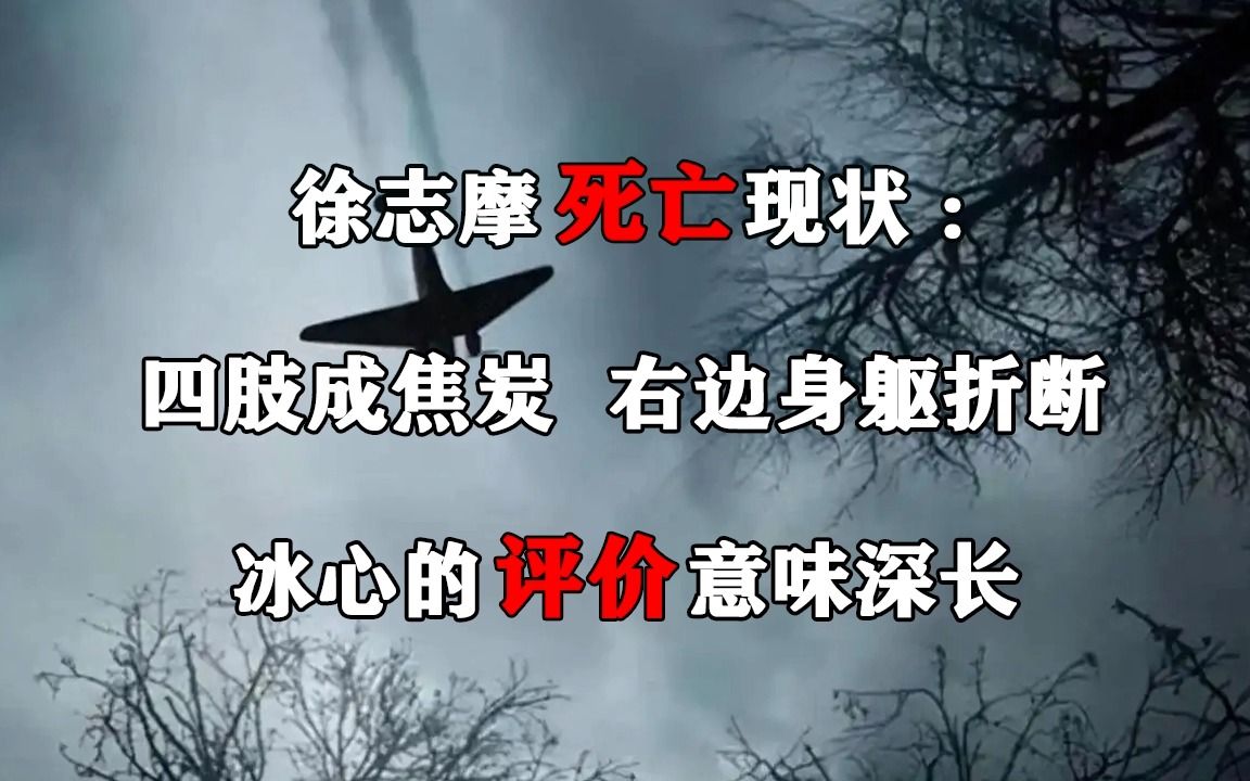 徐志摩死亡现状:四肢成焦炭,右边身躯折断,冰心的评价意味深长哔哩哔哩bilibili