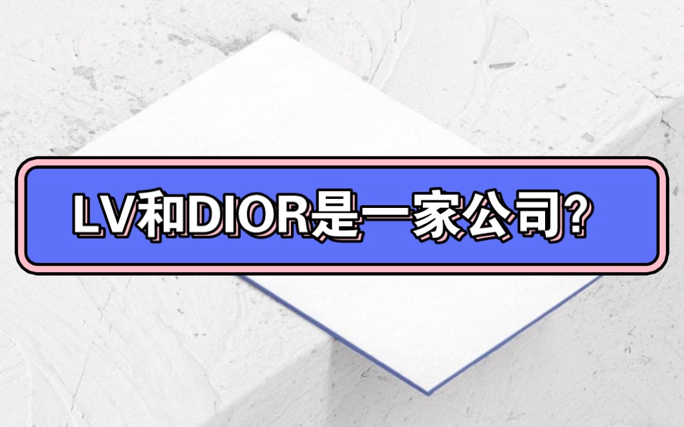 LV和Dior、芬迪等品牌竟然是一家公司?哔哩哔哩bilibili