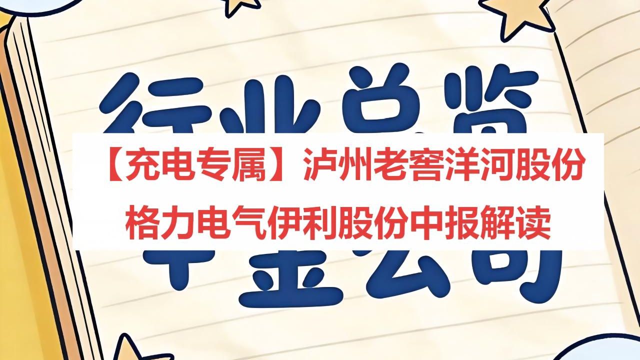 【充电专属】泸州老窖洋河股份格力电器伊利股份中报解读