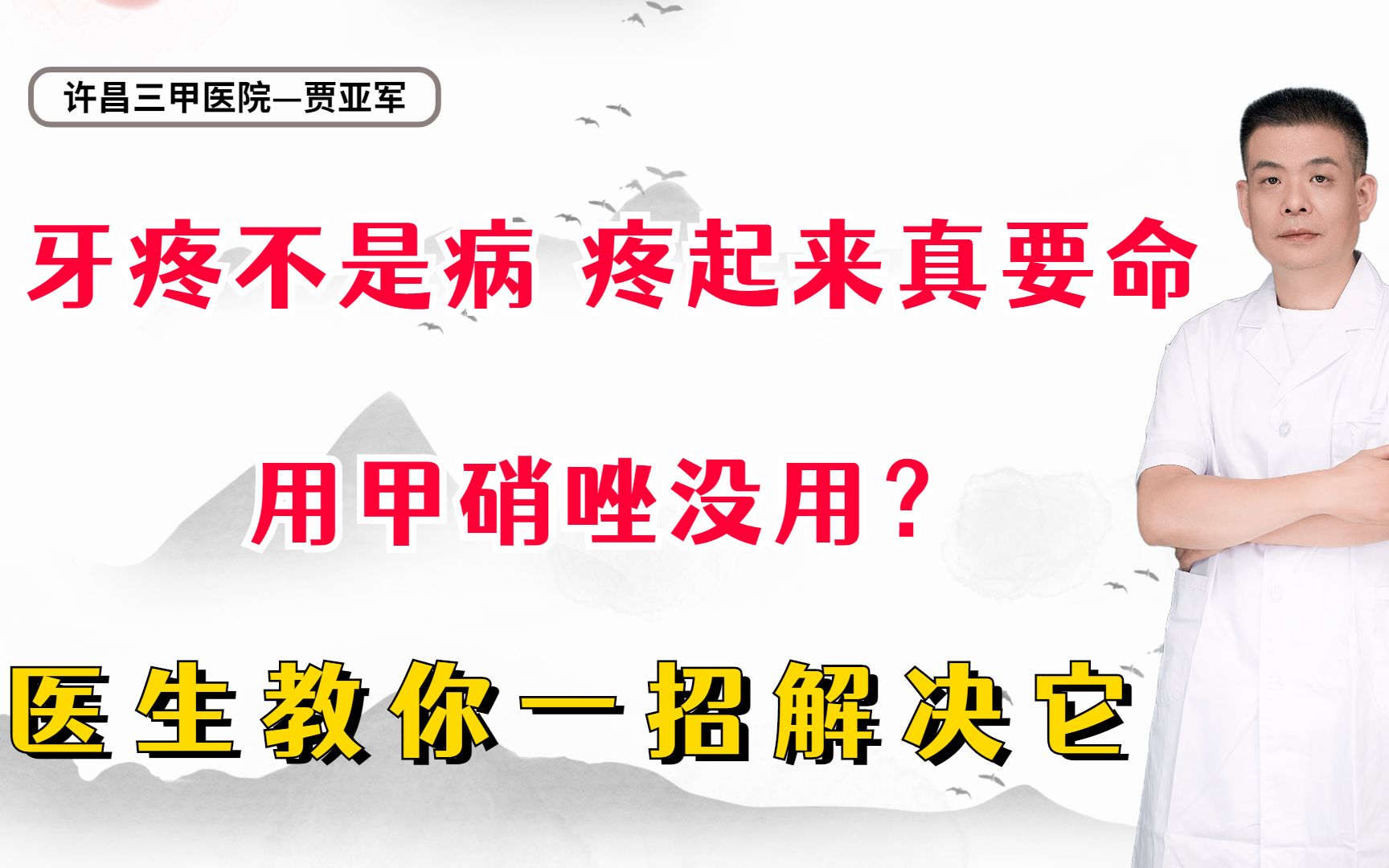 牙疼不是病,疼起来真要命,用甲硝唑没用?医生教你一招解决它哔哩哔哩bilibili