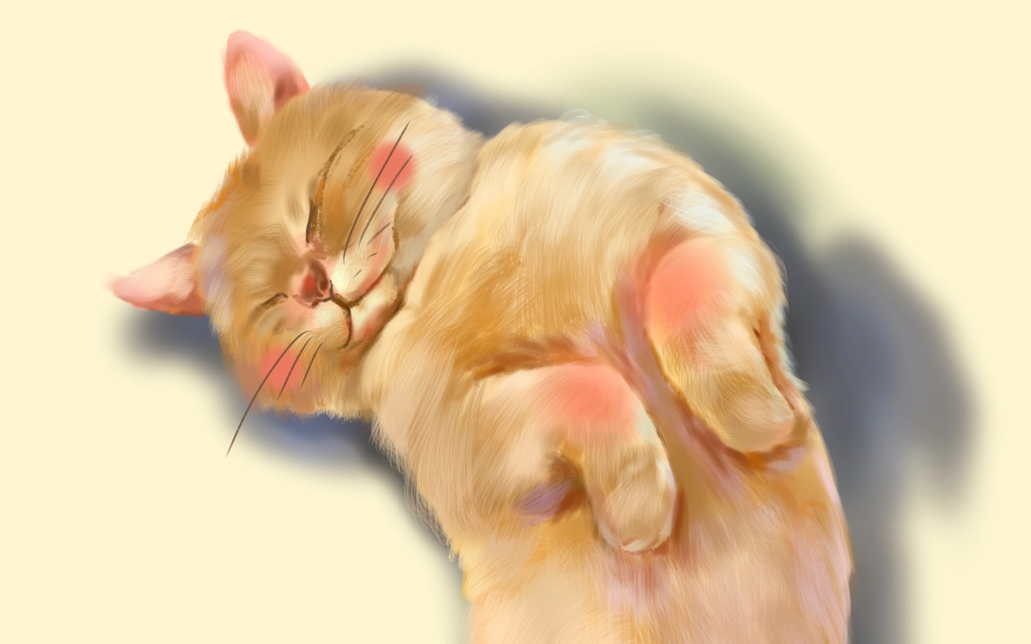 ipad/procreate绘画/今天007摸一只橘猫/_哔哩哔哩 (゜-゜)つロ 干杯