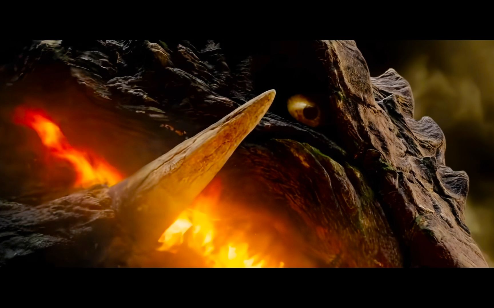 《加美拉》50周年纪念短片!