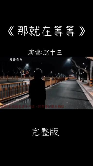 #情感音乐#情感歌曲推荐#那就在等等#赵十三哔哩哔哩bilibili