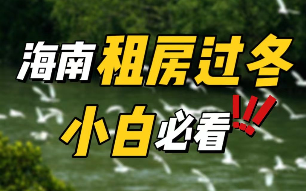 来海南租房过冬要花费多少?可以选哪里?一定要搞清楚这几点哔哩哔哩bilibili