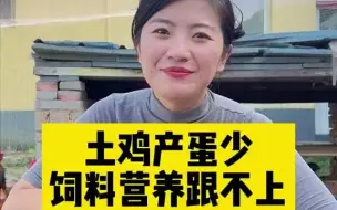 Download Video: 【大学生返乡】土鸡产蛋少？饲料营养跟不上。