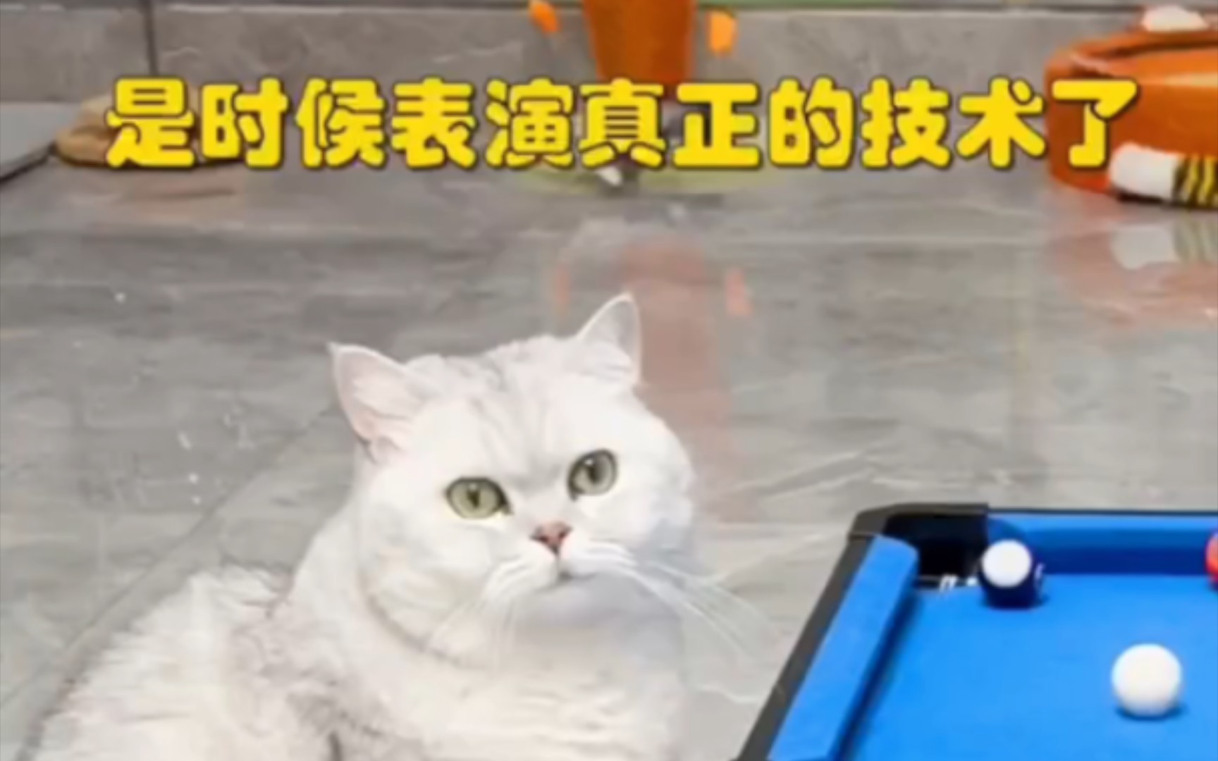 是时候展现真正的技术了 B站