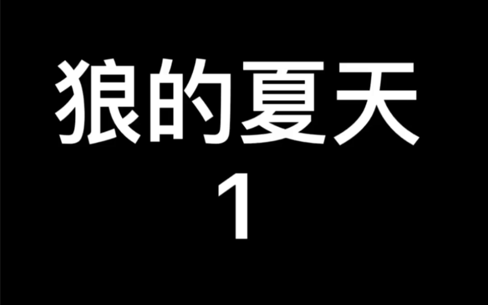 [图]2003年挪威电影～狼的夏天1