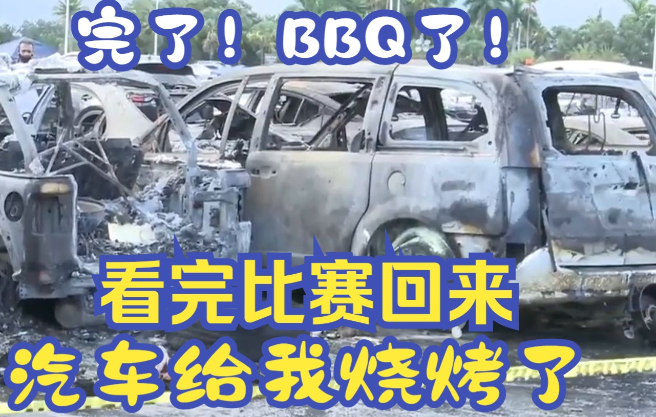 [图]完了！BBQ 了，看完比赛回来汽车给我烧烤了！